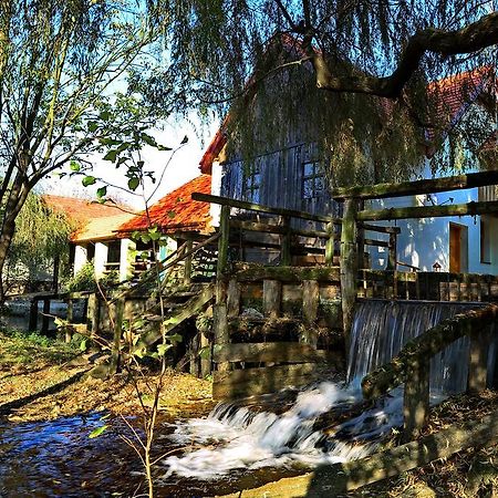 Pensiunea Moara Lu Antone Orastioara de Sus Dış mekan fotoğraf