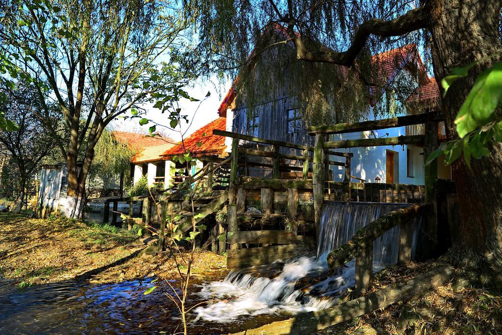Pensiunea Moara Lu Antone Orastioara de Sus Dış mekan fotoğraf